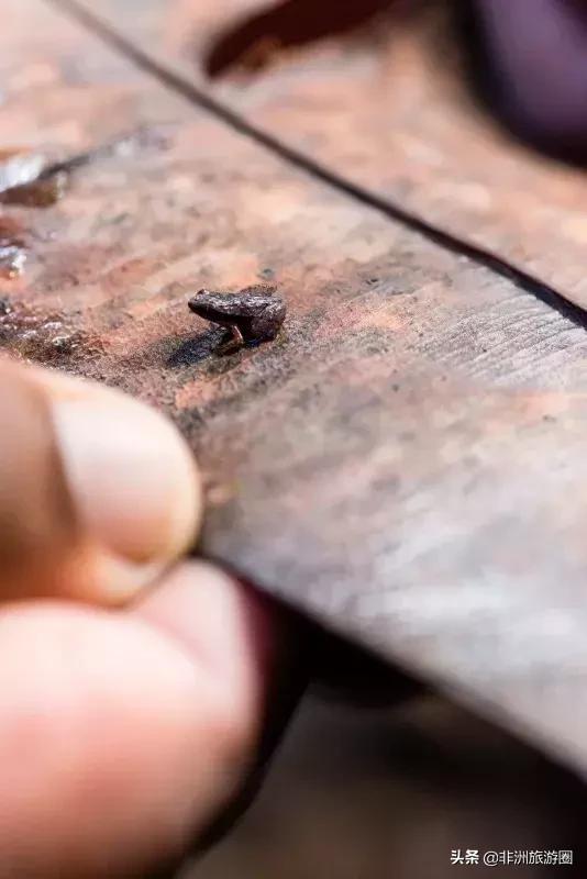 适合夏天去的免签海岛,4个免签的绝美海岛