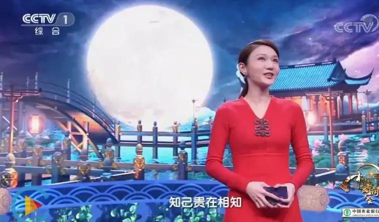 董卿诗词大会开场白第五季,中国诗词大会第五季第一场开场白