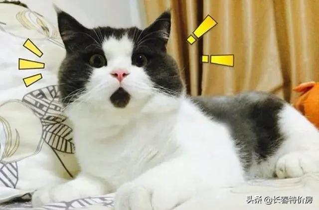 长春崇文学校什么时候投入使用,长春北湖吉大崇文学校