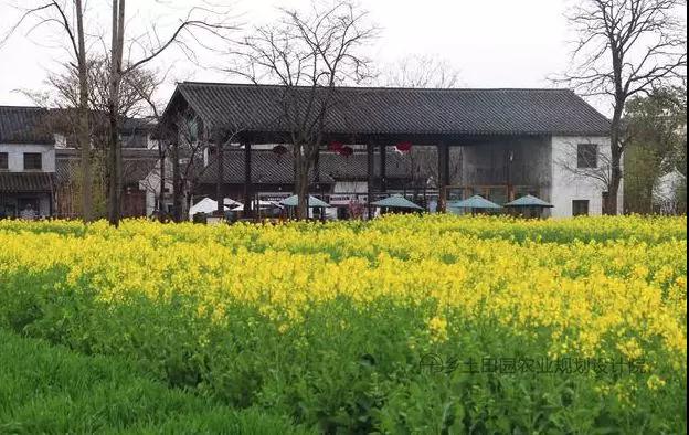 无锡田园东方二期田园综合体,无锡田园东方现状