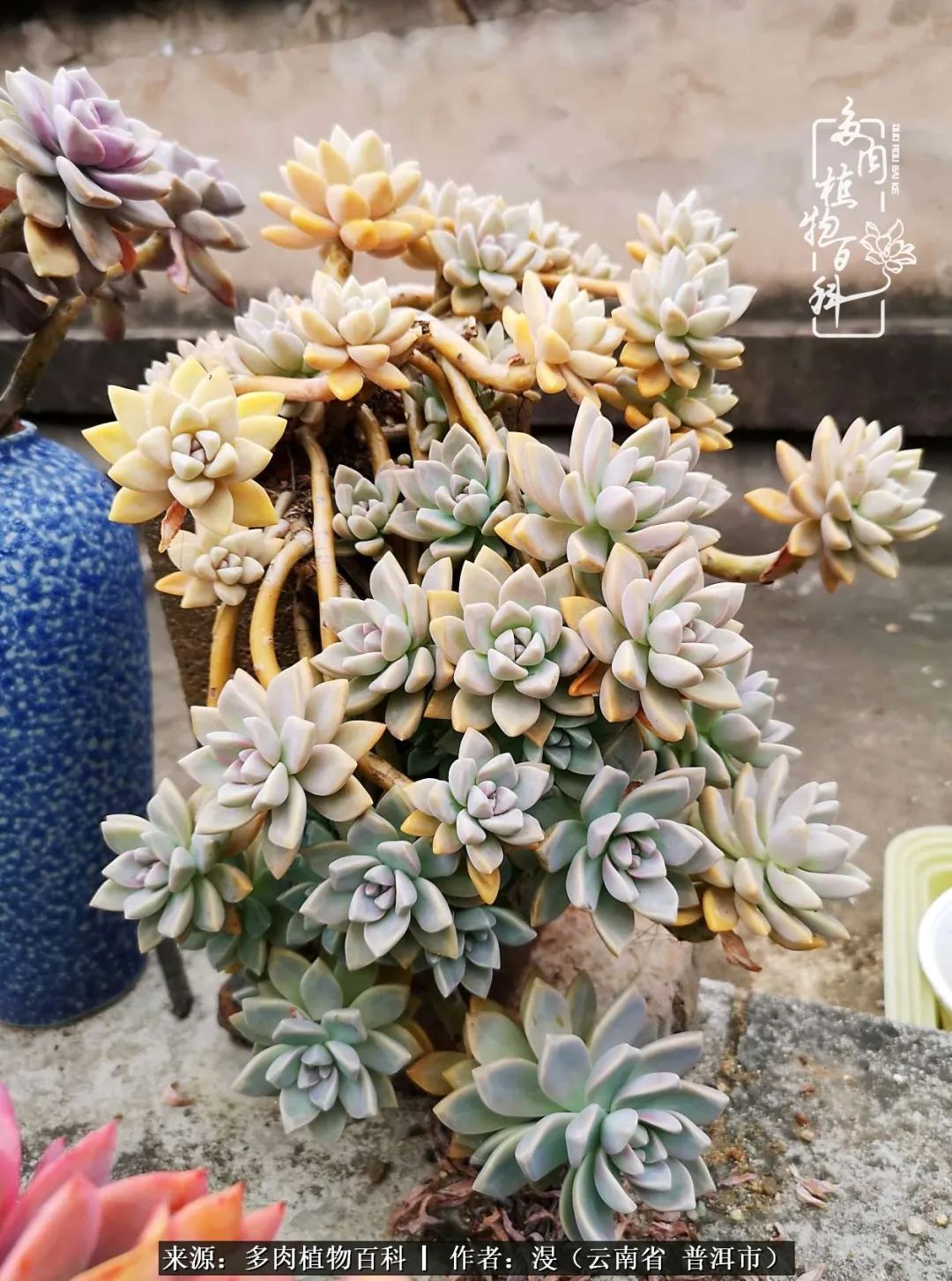 风过留痕讲的啥,风过留痕朗诵