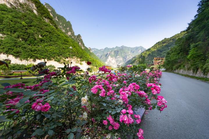 宜昌这个地方产美女，有一个大家都认识，现在还能让熊孩子涨知识