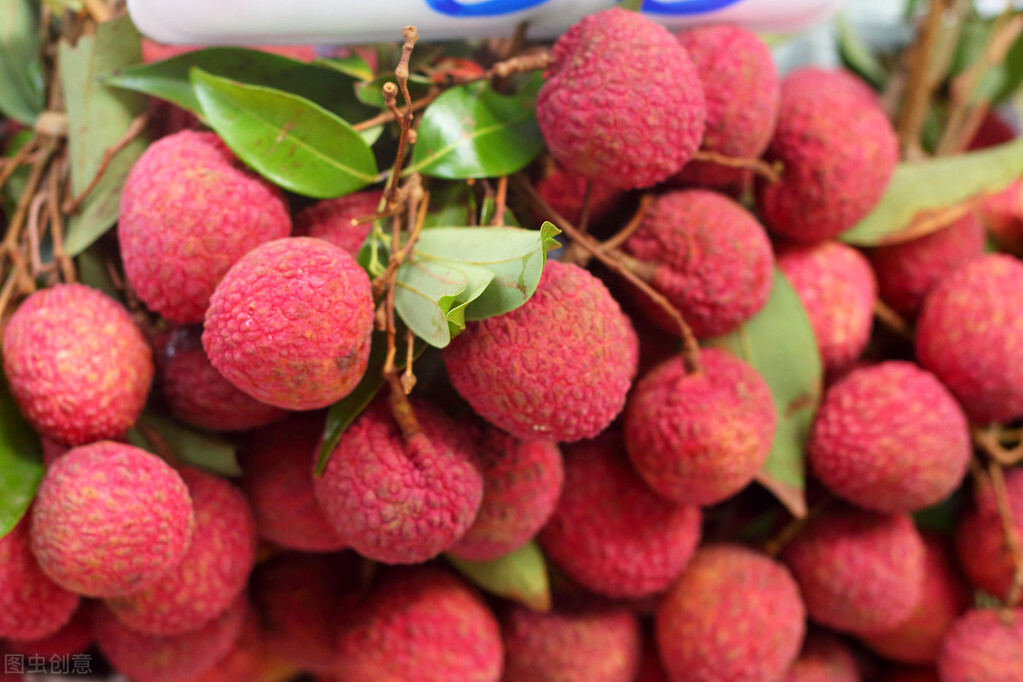 荔枝快坏了怎么办,怎样判断荔枝已经坏掉不能食用