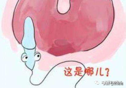 精子的十三种死法