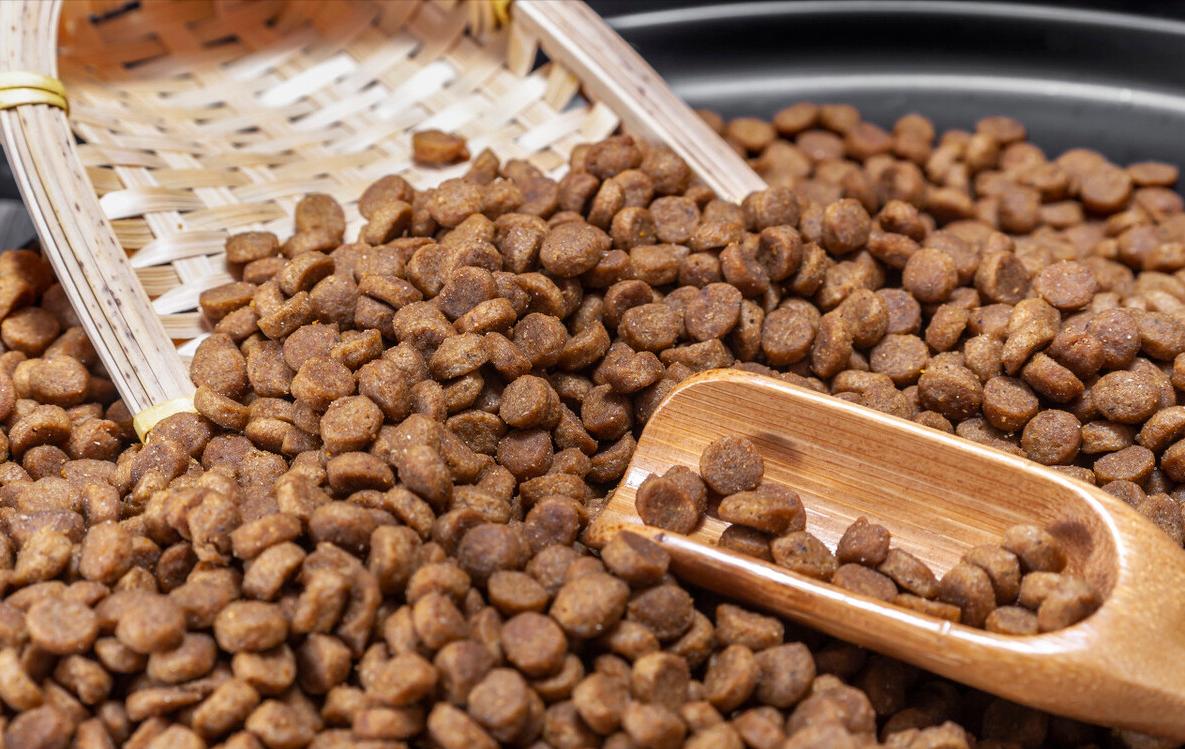 挑选什么牌子的狗粮最好,狗粮哪个牌子好如何挑选好狗粮