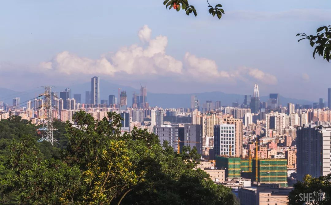 住在深圳宝安,住在宝安西乡