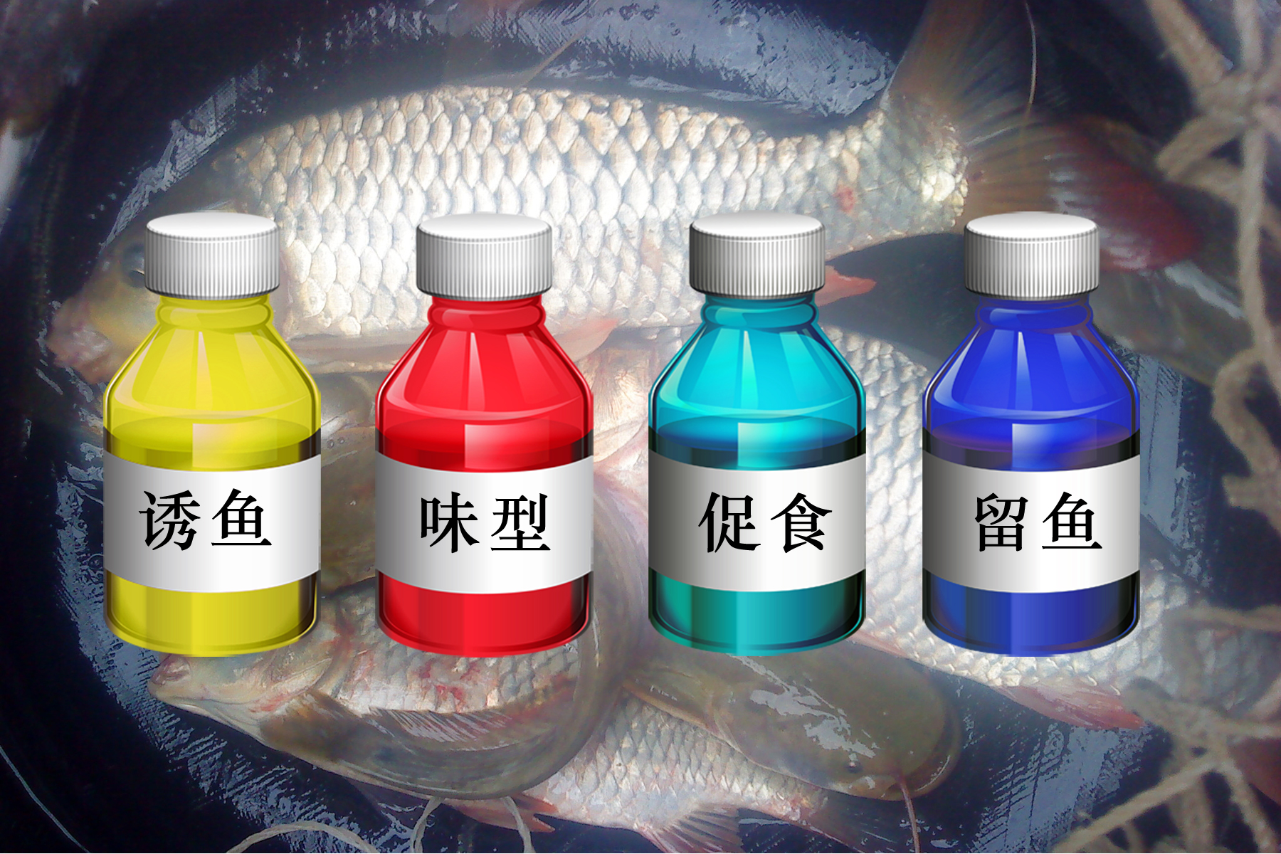 黑坑钓鲤鱼哪种小药比较好,黑坑钓鲤鱼小药搭配思路