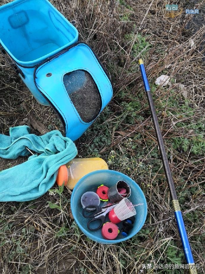 麦子钓野河鱼的最佳配方,野钓鲤鱼最诱鱼的酒米