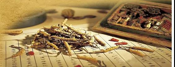 英迪大学中医专业招生简章,马来西亚英迪大学中医学怎么样