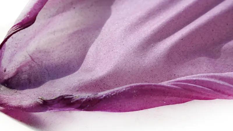 食物设计案例,健康饮食的设计意图