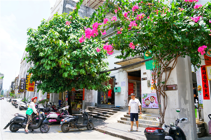 广西这座海滨城市很美，比三亚安静，比青岛清幽，更适合旅居养老