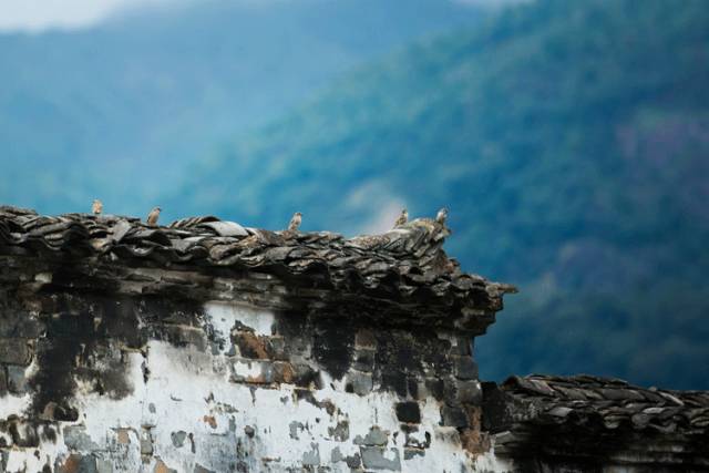 修身齐家治国平天下对联,10副禅意对联