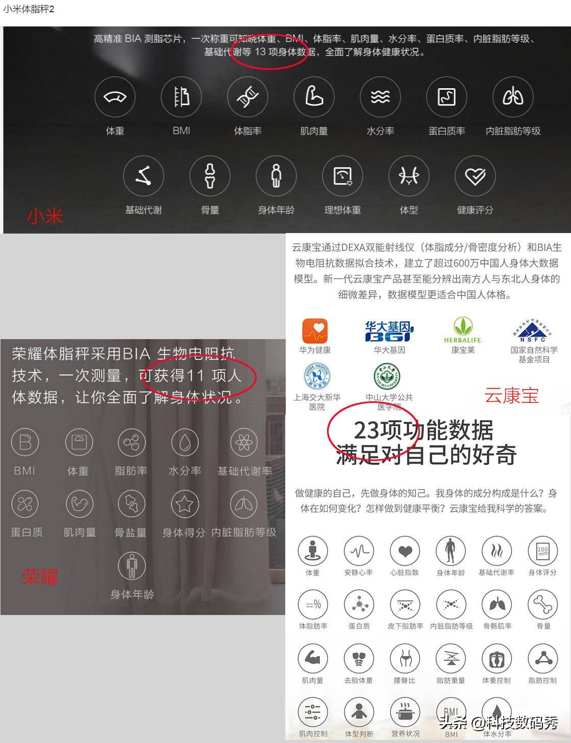 荣耀智能体脂秤十大排行,体脂秤亲测