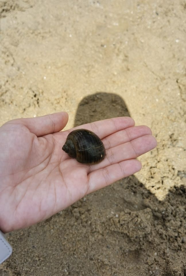 广州好玩的亲子农场,亲子农场广州