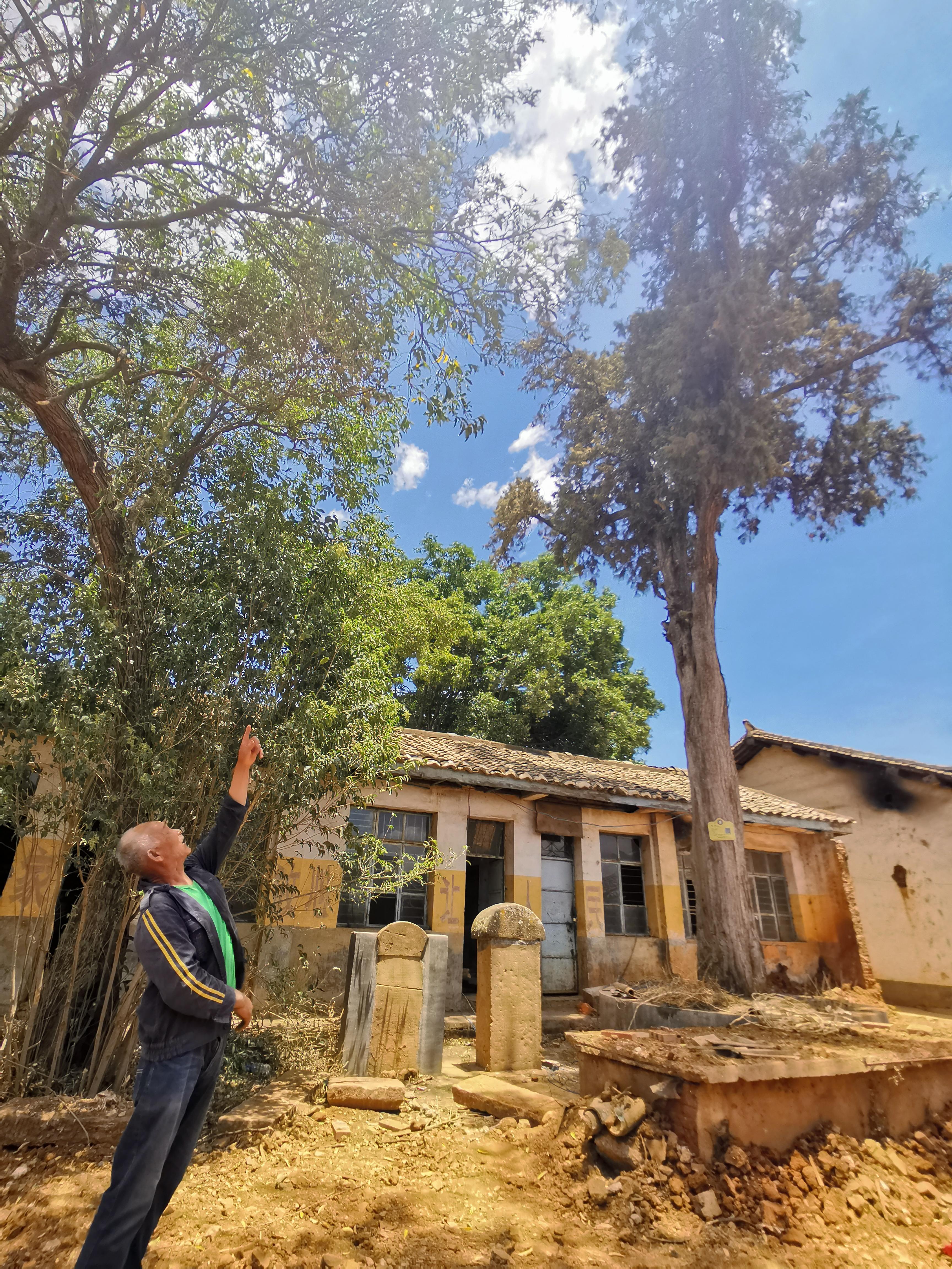 父子同游爷爷走过的马帮路（十）：四川南门松坪关