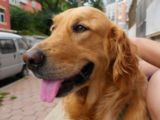 聚散苦匆匆此恨无穷,聚散苦匆匆此恨无穷壁纸