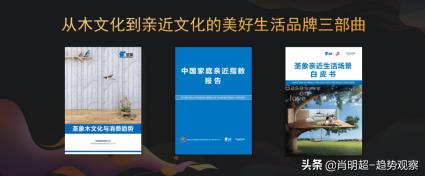 肖明超个人资料,肖明超完整视频