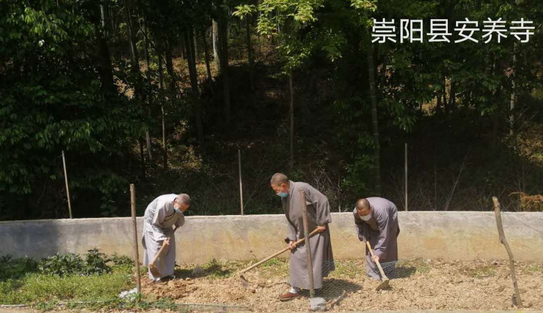 抢抓农时开展农业生产,农民纷纷抢抓春耕生产有利时机