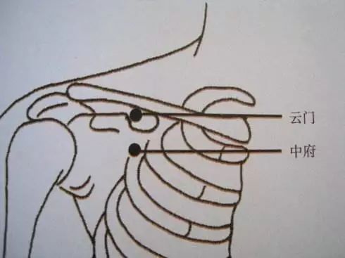 中里巴人消炎穴,中里巴人的穴位按摩法