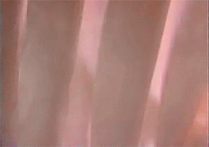 如果年轻20岁，这对双男主CP绝对燃炸天！