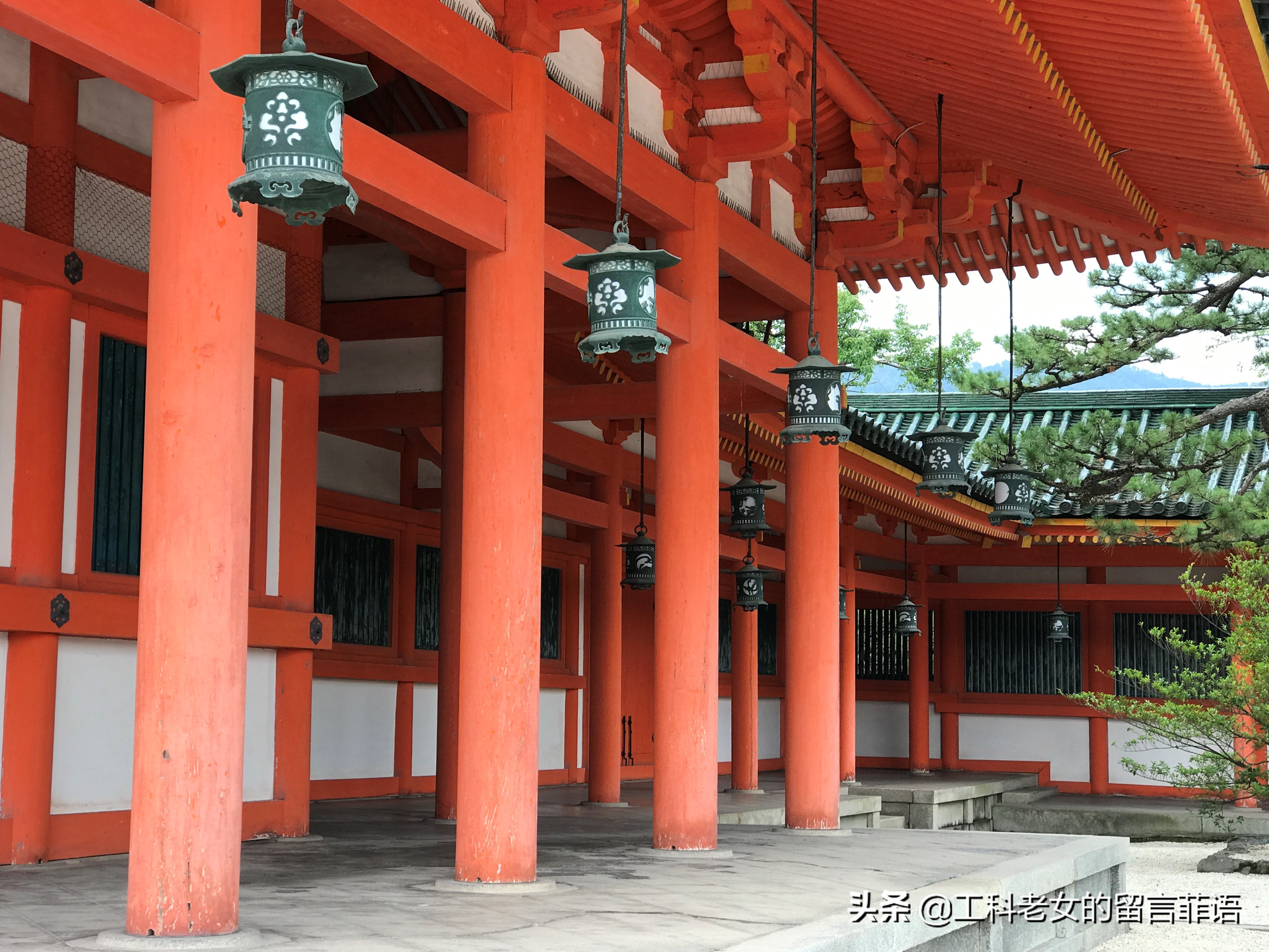 京都之因喜欢这神社的名字就在此卜了一签,却不认字