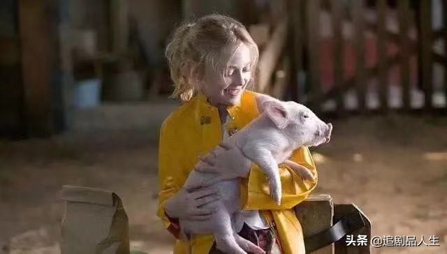 夏洛特的网中的蜘蛛品种,夏洛特的网蜘蛛的名字叫什么