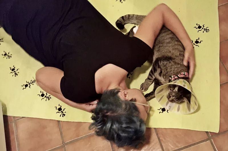 一只猫治愈了抑郁症,猫竟然能治愈抑郁症