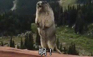 鐪嬭鏂囧繀澶囩殑缃戠珯鎺掑悕鍓嶅崄,鐪嬭鏂囨渶濂界殑缃戠珯