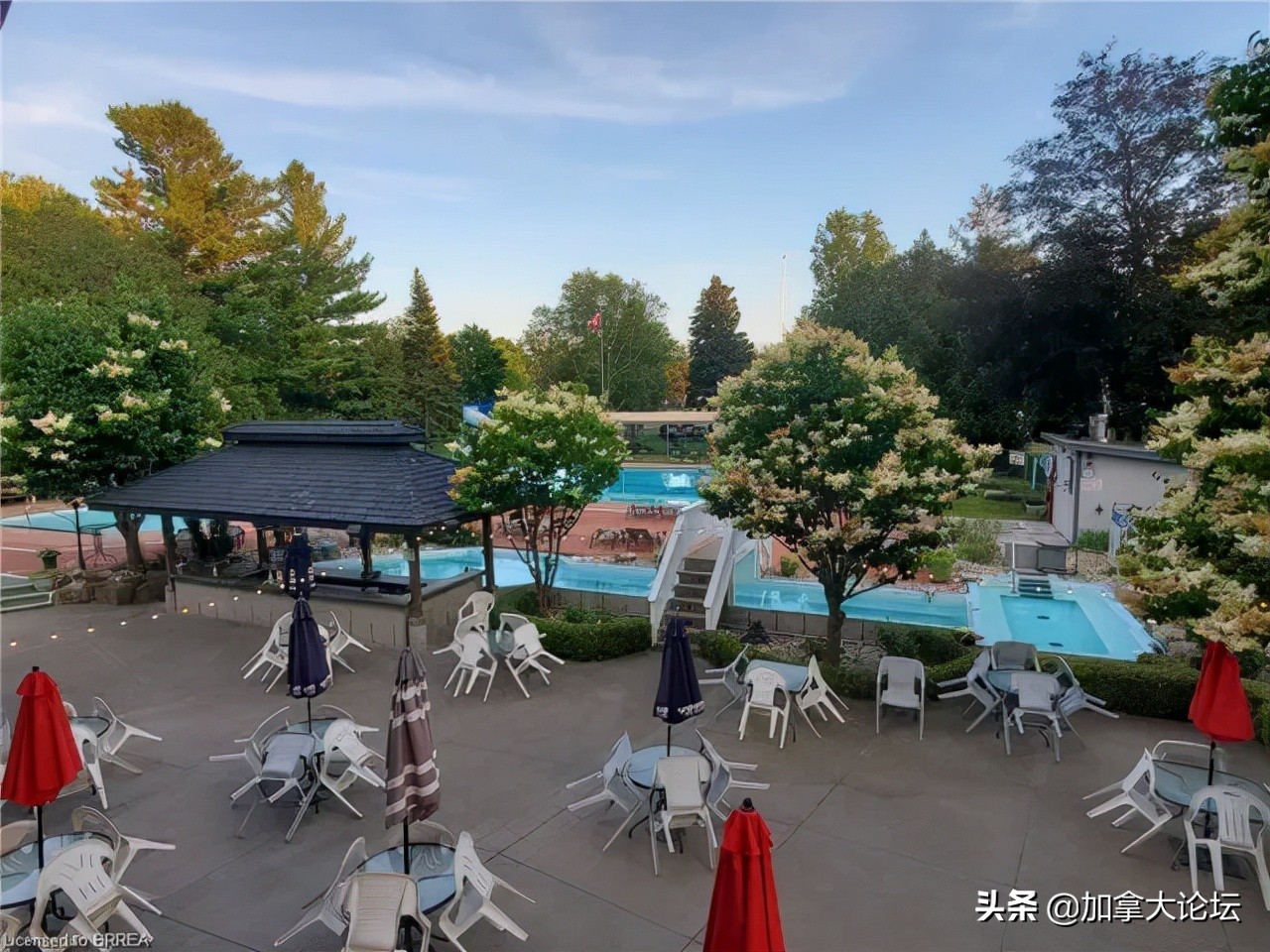 加拿大低价独立屋,加拿大温哥华独立屋出售