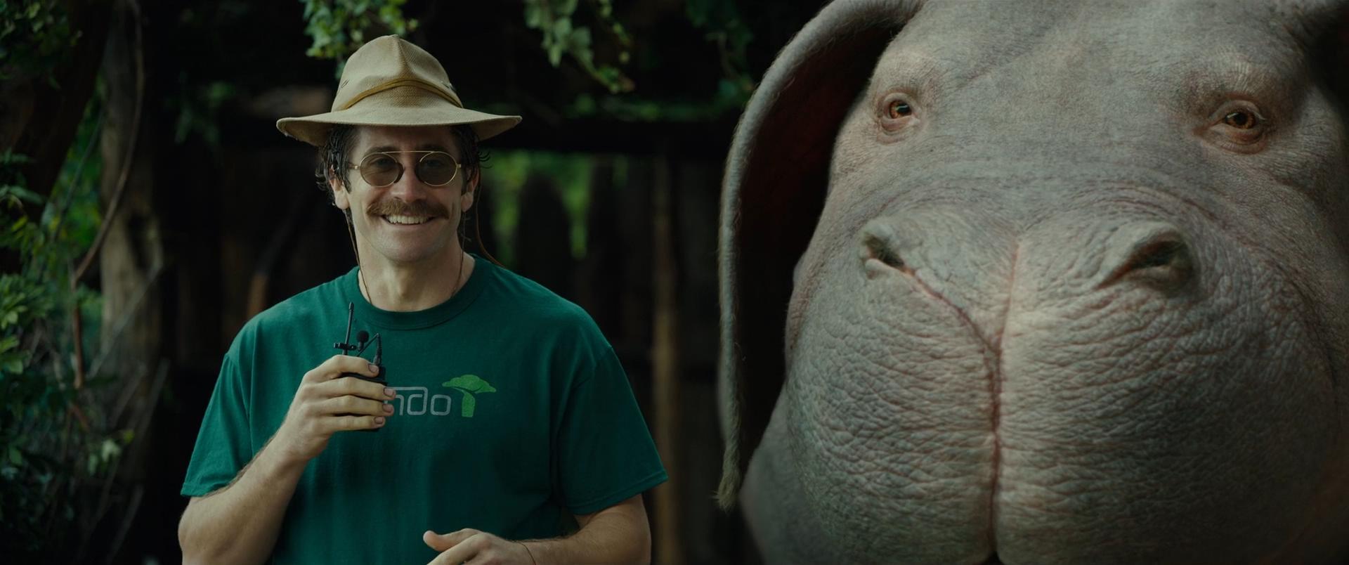 也许我们真的需要独自成长,或许我们真的需要经典作品来唤醒