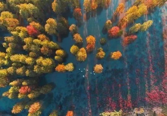 南京有哪些免费公园,南京象山湖公园免费攻略