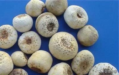 服中药汤的正确时间,服中药的方法是饭前还是饭后