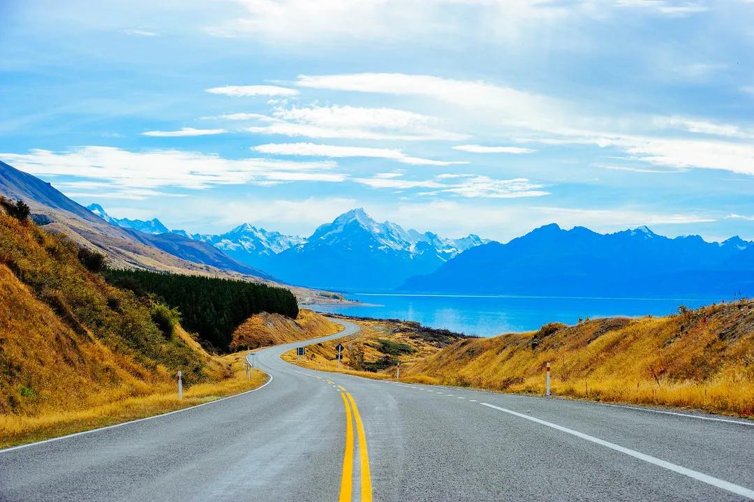 新西兰最有名三文鱼,新西兰帝王鲑三文鱼视频