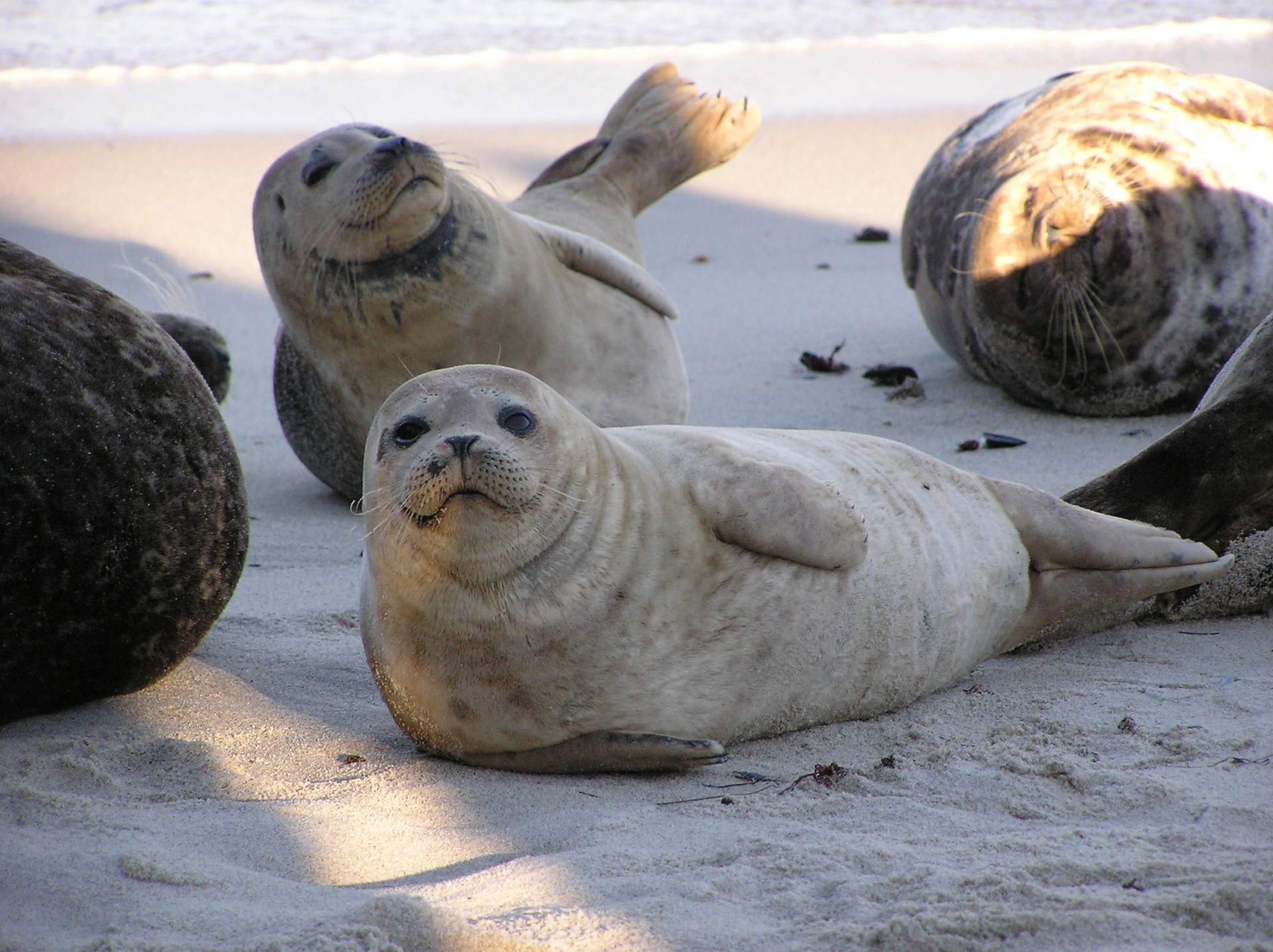 海水含盐量高了怎么办,海水很咸不
