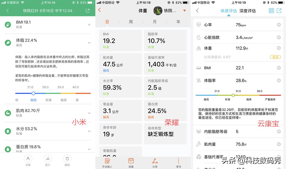 荣耀智能体脂秤十大排行,体脂秤亲测