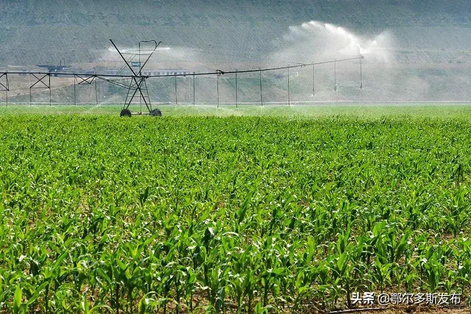 中水上山！东胜这座矿山堪比“花果山”！