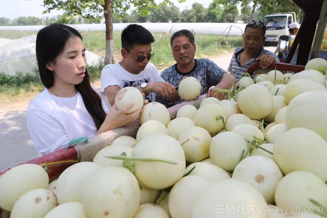 报告!这群阿里工程师在偷偷养猪