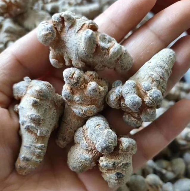 三七买回来怎么打成粉,自己买整个三七怎么打粉