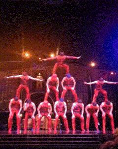 搞笑gif图原谅我不厚道的笑了,搞笑gif段子实在是猝不及防啊