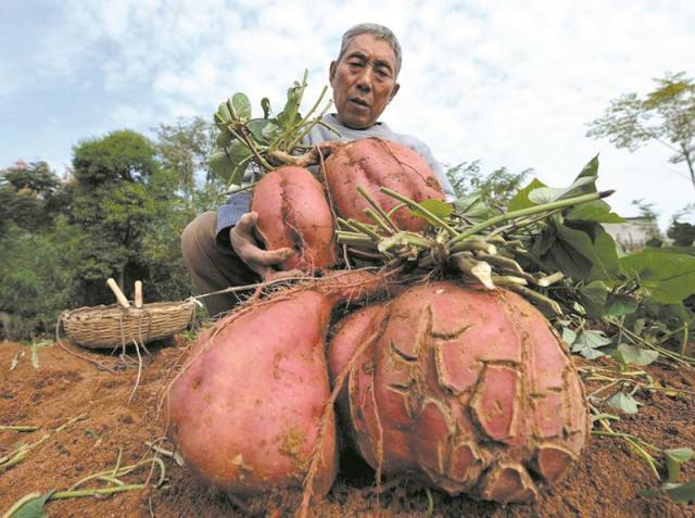 洛江虹山生态旅游,洛江虹山最新视频