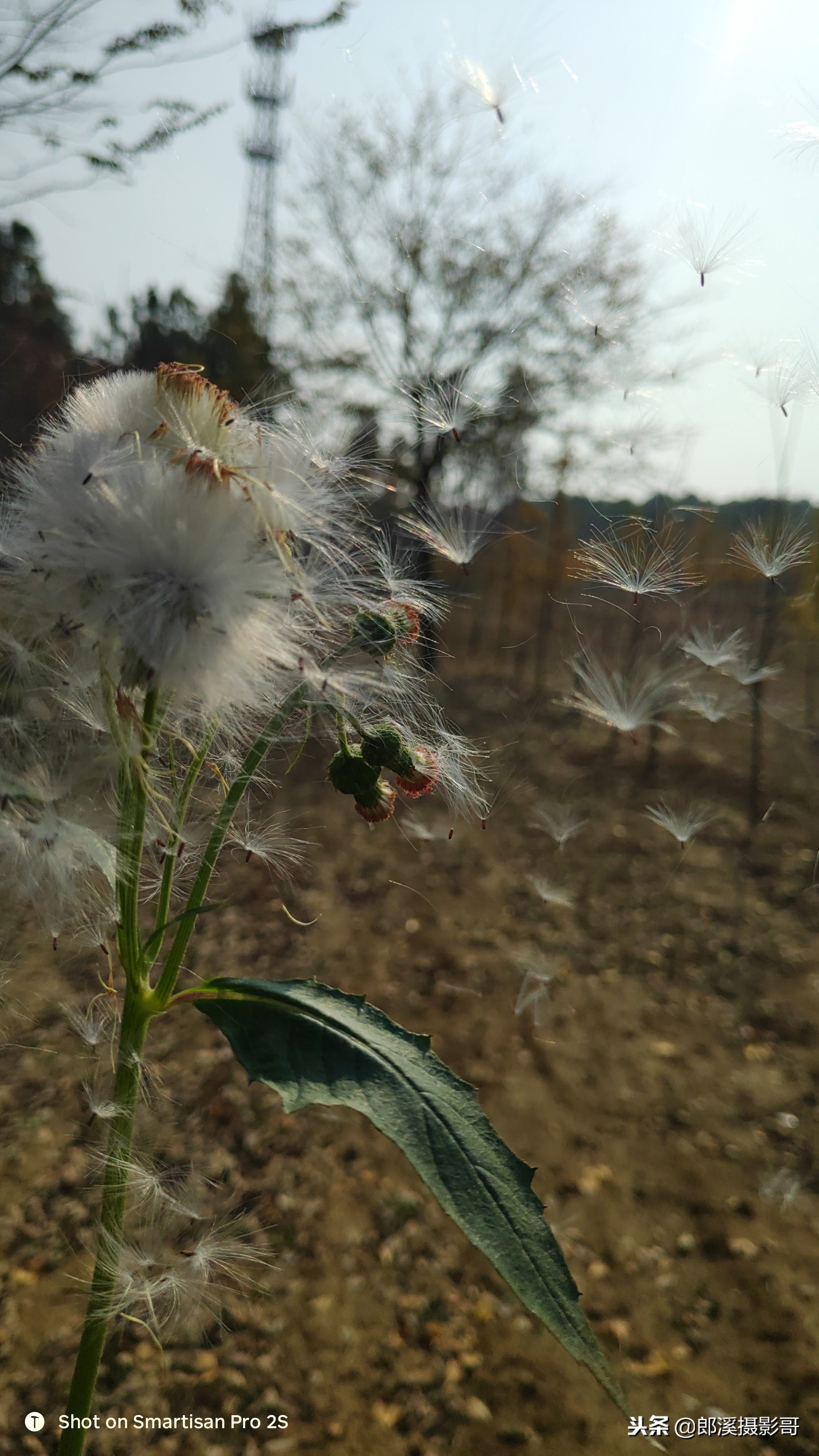 手机照相删除的视频怎么恢复,废旧手机里面的照片怎么处理