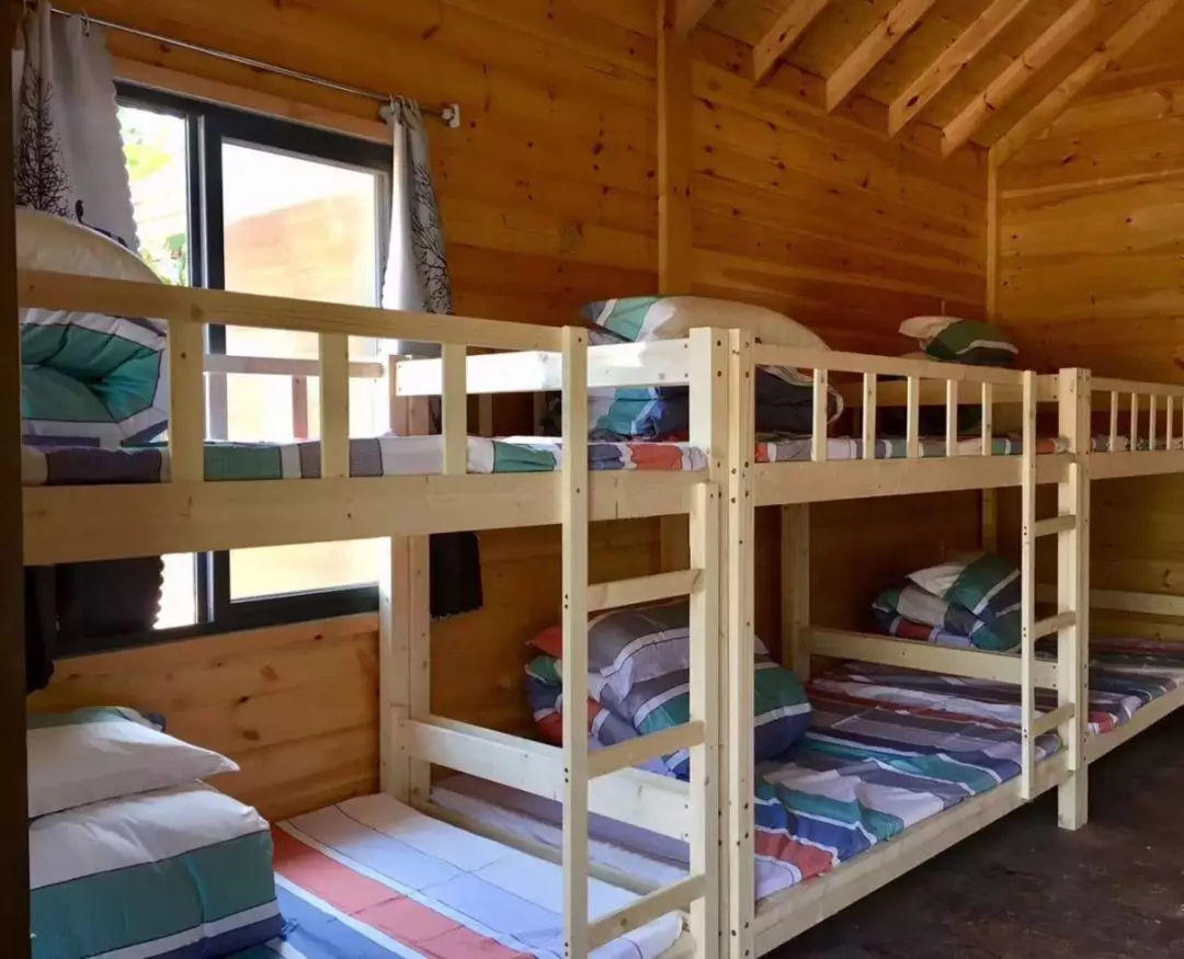 博实乐自然共和国营地精彩回顾|走进三大科技之美，成就未来英才