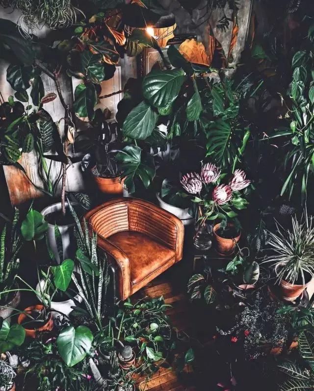 开一家植物美学小店,开一家属于自己的花店