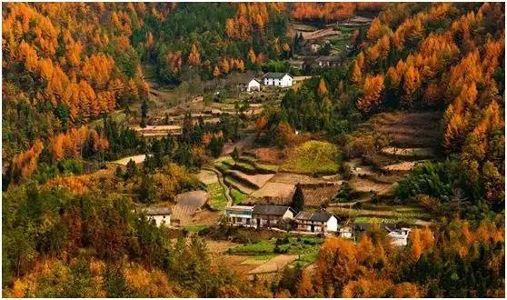 2022骞存仼鏂藉晢涓氶瓍鍔涙帓琛屾,榄呭姏鎵撳崱涔嬪煄鎭╂柦