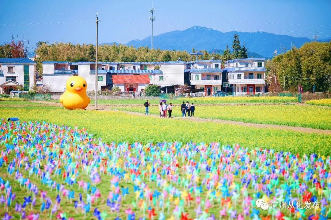 从化吕田美食攻略,从化吕田特色美食有哪些
