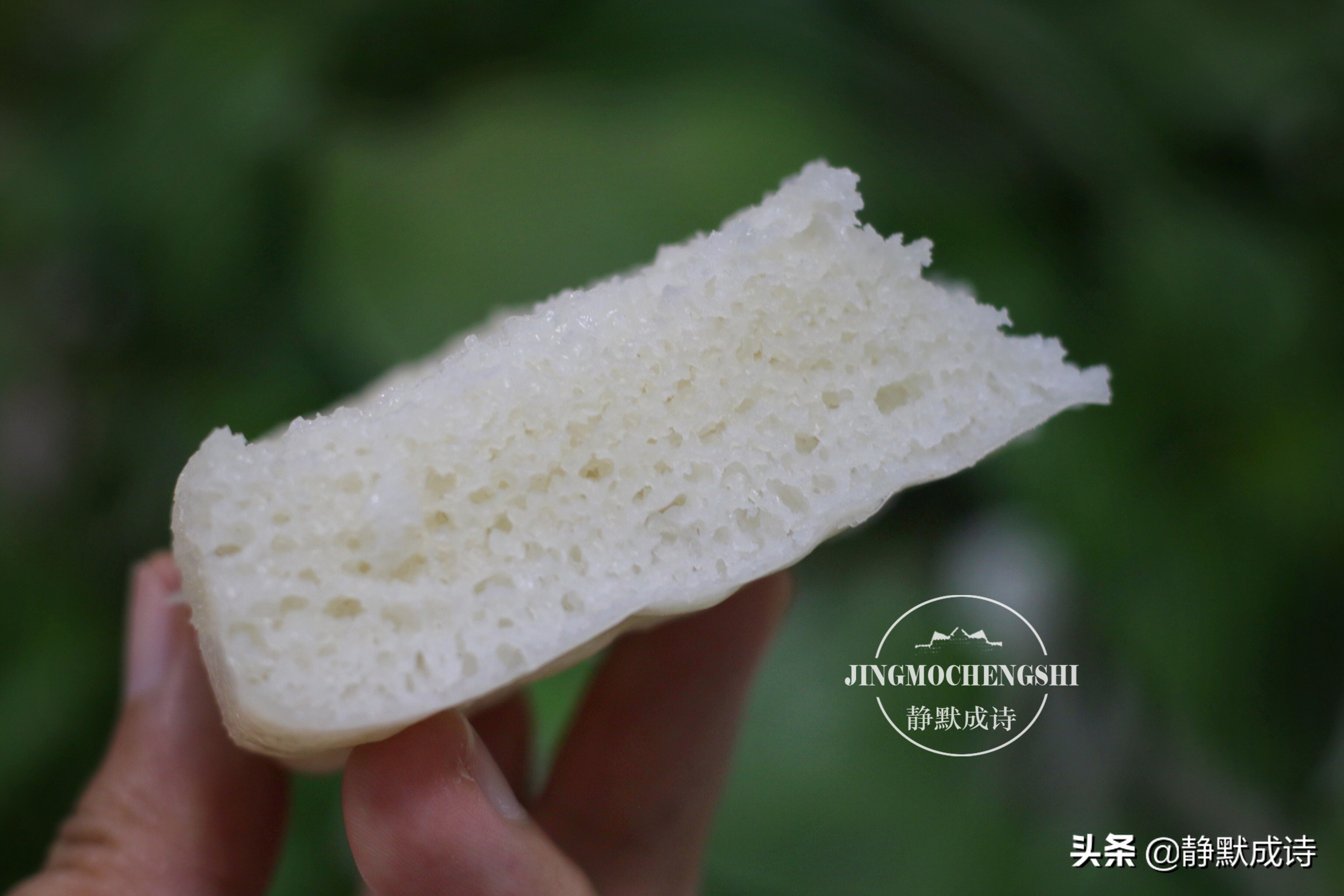 如何做又松又软的米发糕,做软糯香甜的米发糕教学