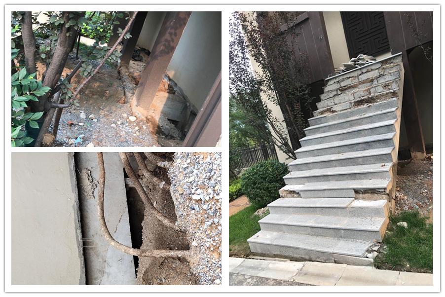 4年冲击3000亿，高速增长下的世茂集团频陷房屋质量风波