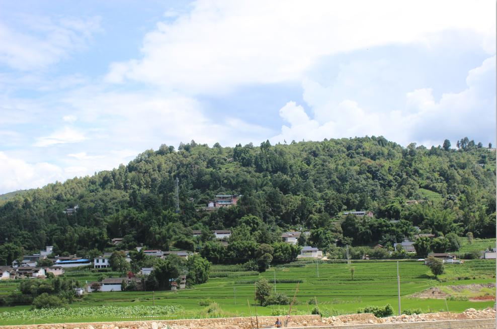 昌宁产业扶贫取得新成效,昌宁县农业脱贫项目