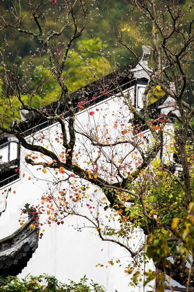 安徽的颜值为什么这么高,安徽的大美风光