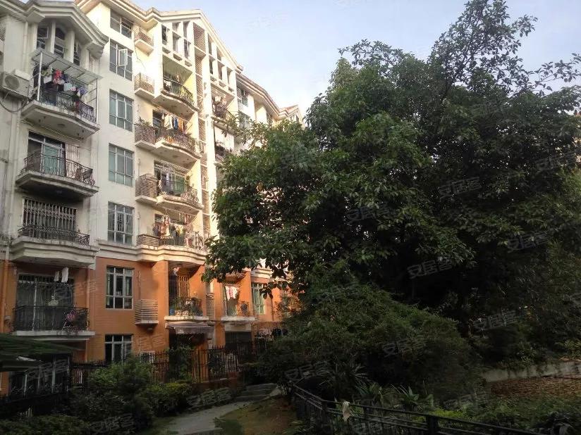 深圳房东租房故事,房东的故事完整版